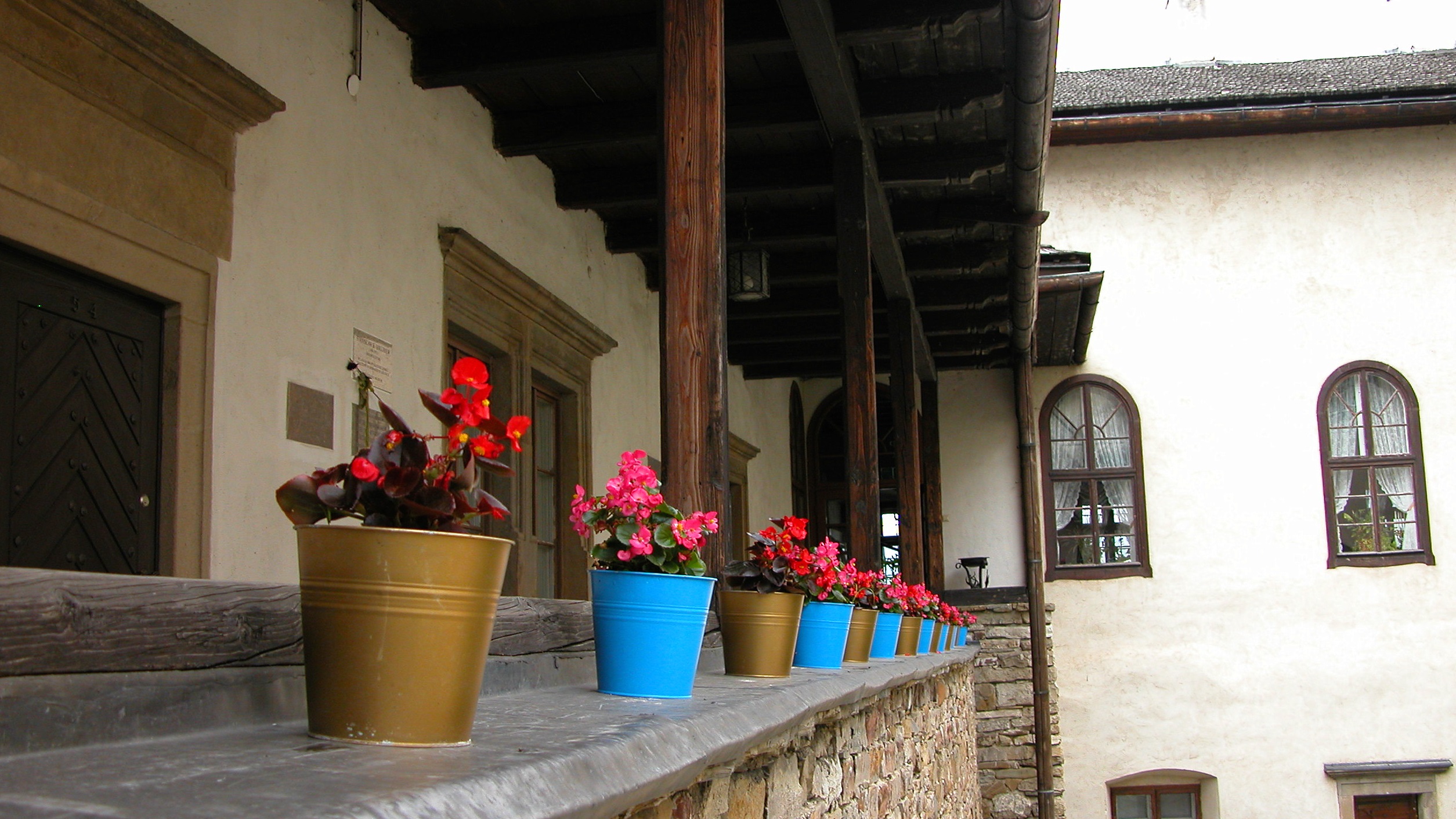 Some flowers in the courtyard of Dunajec Castle